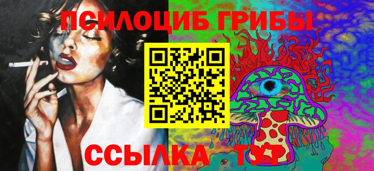 Псилоцибиновые грибы Cubensis Красногорск